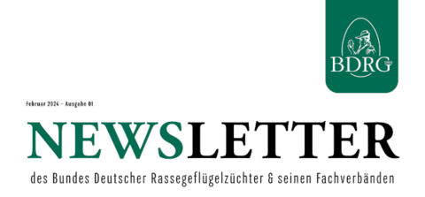 bdrg_newsletter_2401_header